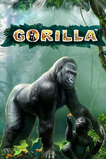 Gorilla от  демо версия | VAVADA без регистрации